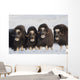 Musk-Ox Cows Wall Mural