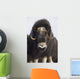 Female Musk-Ox On The Seward Peninsula Near Nome Wall Mural