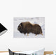 Large Bull Musk-Ox Walking On The Snowy & Frozen Tundra Wall Mural