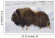 Large Bull Musk-Ox Walking On The Snowy & Frozen Tundra Wall Mural