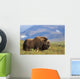 Musk Ox Bull Standing On Tundra In Late Summer On The Seward Peninsula Wall Mural