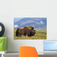 Musk Ox Bull Standing On Tundra In Late Summer On The Seward Peninsula Wall Mural