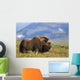 Musk Ox Bull Standing On Tundra In Late Summer On The Seward Peninsula Wall Mural