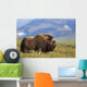 Musk Ox Bull Standing On Tundra In Late Summer On The Seward Peninsula Wall Mural