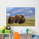 Musk Ox Bull Standing On Tundra In Late Summer On The Seward Peninsula Wall Mural