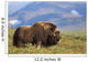 Musk Ox Bull Standing On Tundra In Late Summer On The Seward Peninsula Wall Mural