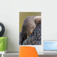 Double-Crested Cormorant Sleeping With Bill Tucked In Wing Wall Mural