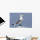 Black-Legged Kittiwake Standing On An Iceberg Wall Mural