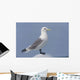 Black-Legged Kittiwake Standing On An Iceberg Wall Mural