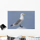 Black-Legged Kittiwake Standing On An Iceberg Wall Mural