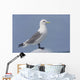 Black-Legged Kittiwake Standing On An Iceberg Wall Mural