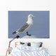 Black-Legged Kittiwake Standing On An Iceberg Wall Mural
