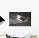 Slaty-Backed Gull Standing On The Shore Near Cordova Wall Mural