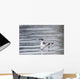 Marbled Murrelet With Winter Plumage Swimming During A Snowfall Wall Mural