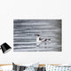 Marbled Murrelet With Winter Plumage Swimming During A Snowfall Wall Mural