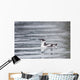 Marbled Murrelet With Winter Plumage Swimming During A Snowfall Wall Mural