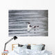 Marbled Murrelet With Winter Plumage Swimming During A Snowfall Wall Mural