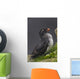 Parakeet Auklet Sitting In Green Vegetation On Ledge During Summer Wall Mural