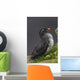 Parakeet Auklet Sitting In Green Vegetation On Ledge During Summer Wall Mural