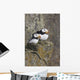 Horned Puffin Pair Perched On A Cliff Ledge During Summer Wall Mural