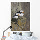 Horned Puffin Pair Perched On A Cliff Ledge During Summer Wall Mural