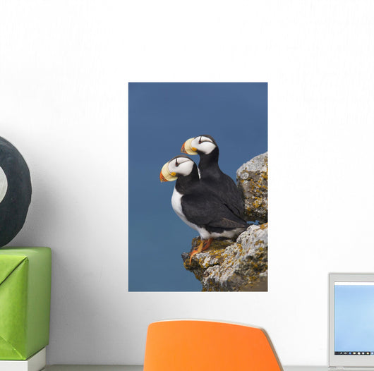 Southwest Alaska Wall Mural