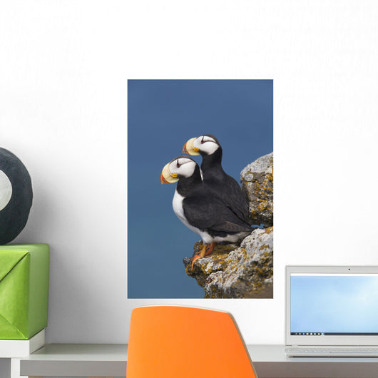 Southwest Alaska Wall Mural