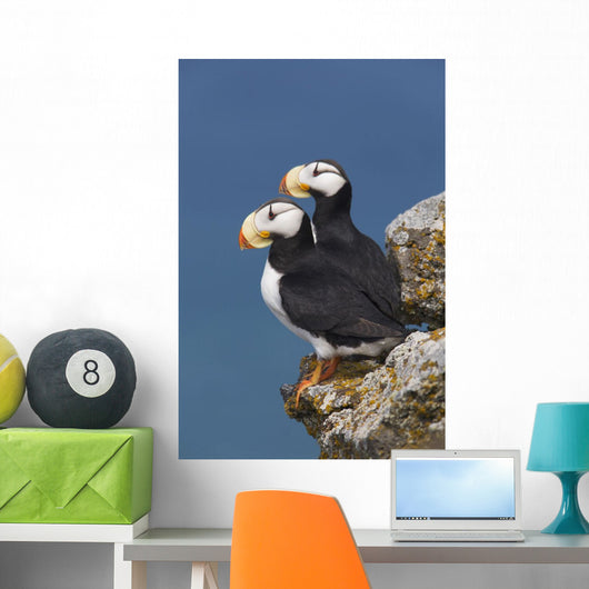 Southwest Alaska Wall Mural