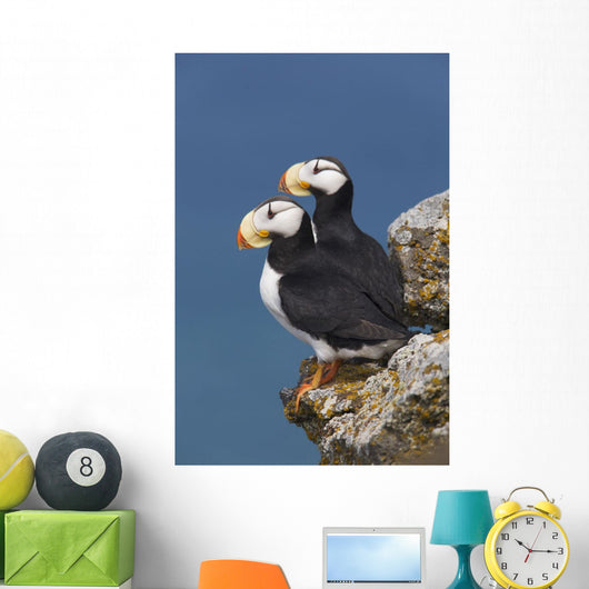 Southwest Alaska Wall Mural