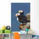 Southwest Alaska Wall Mural