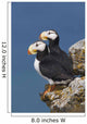 Southwest Alaska Wall Mural