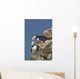 Horned Puffin Pair Perched On Rock Ledge With The Blue Bering Sea Wall Mural