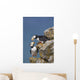 Horned Puffin Pair Perched On Rock Ledge With The Blue Bering Sea Wall Mural