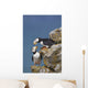 Horned Puffin Pair Perched On Rock Ledge With The Blue Bering Sea Wall Mural