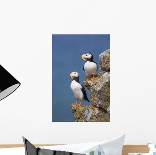 Horned Puffin Pair Perched On Rock Ledge With The Blue Bering Sea Wall Mural