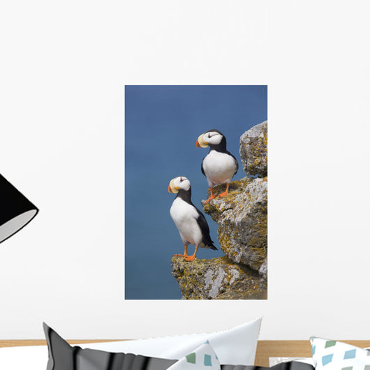 Horned Puffin Pair Perched On Rock Ledge With The Blue Bering Sea Wall Mural