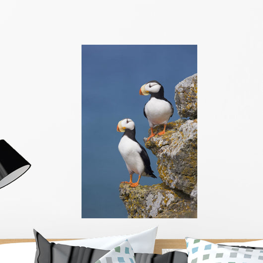 Horned Puffin Pair Perched On Rock Ledge With The Blue Bering Sea Wall Mural