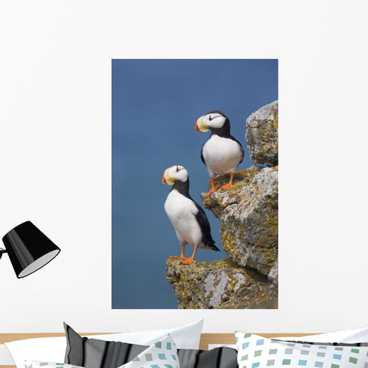 Horned Puffin Pair Perched On Rock Ledge With The Blue Bering Sea Wall Mural