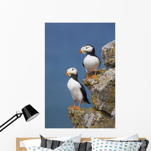 Horned Puffin Pair Perched On Rock Ledge With The Blue Bering Sea Wall Mural