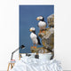 Horned Puffin Pair Perched On Rock Ledge With The Blue Bering Sea Wall Mural