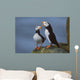 Horned Puffin Pair On Ledge With One Calling In Courtship Display Wall Mural