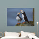 Horned Puffin Pair On Ledge With One Calling In Courtship Display Wall Mural