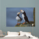 Horned Puffin Pair On Ledge With One Calling In Courtship Display Wall Mural