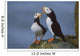 Horned Puffin Pair On Ledge With One Calling In Courtship Display Wall Mural