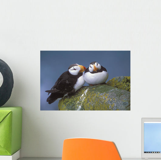 Horned Puffin Pair Perched On Ledge Wall Mural