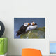 Horned Puffin Pair Perched On Ledge Wall Mural