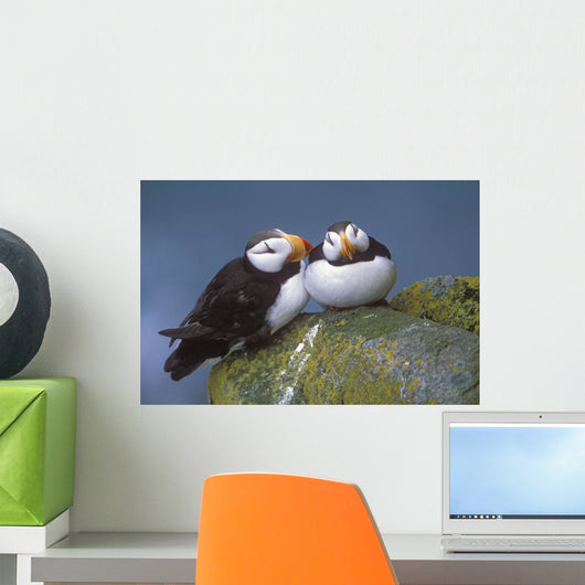 Horned Puffin Pair Perched On Ledge Wall Mural