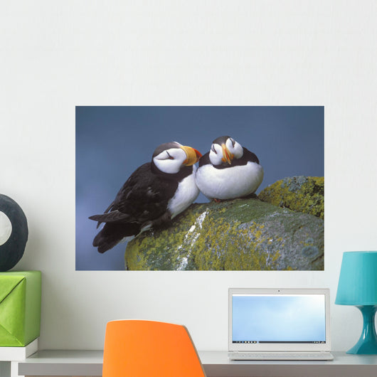 Horned Puffin Pair Perched On Ledge Wall Mural