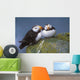 Horned Puffin Pair Perched On Ledge Wall Mural
