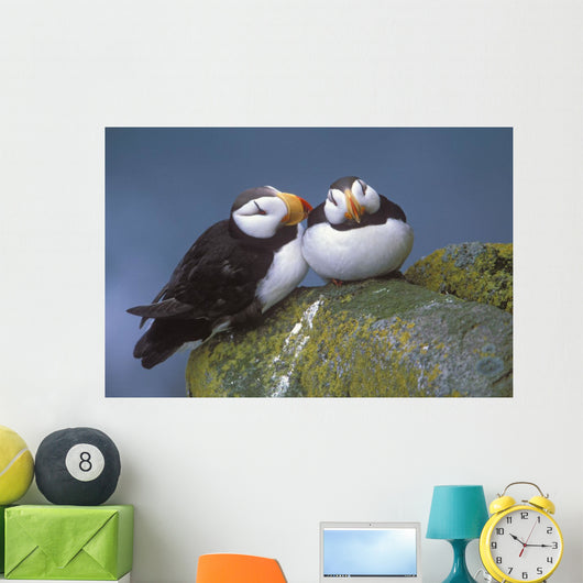 Horned Puffin Pair Perched On Ledge Wall Mural